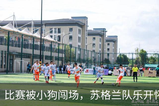 比赛被小狗闯场，苏格兰队乐开怀