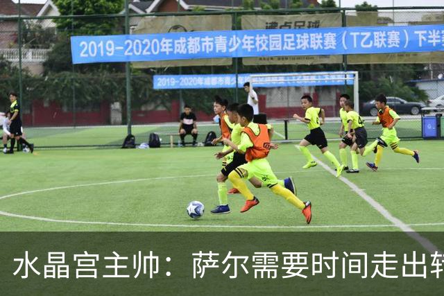 水晶宫主帅：萨尔需要时间走出转会风波